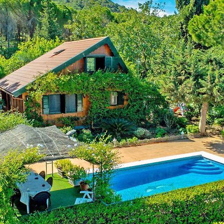 Cubo'S Casa Rural Finca La Biznaga 阿尔豪林格朗德 外观 照片