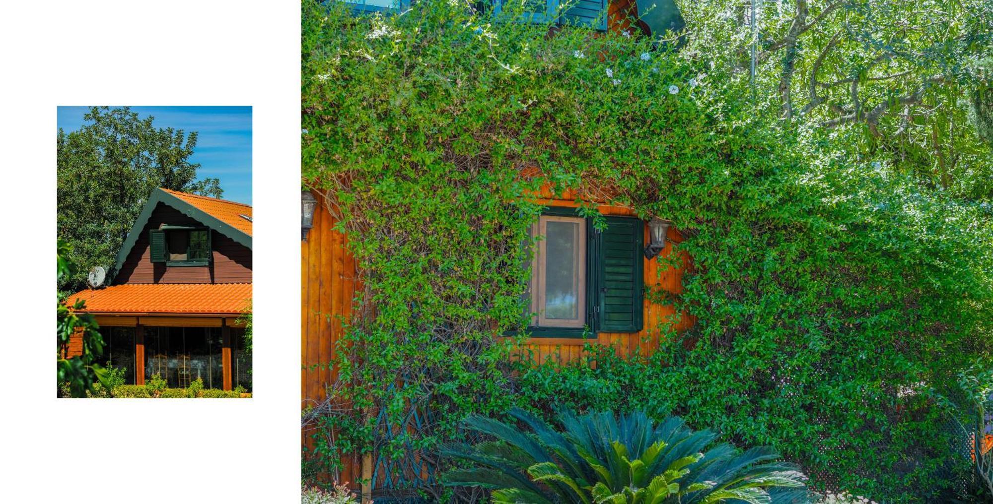 Cubo'S Casa Rural Finca La Biznaga 阿尔豪林格朗德 外观 照片